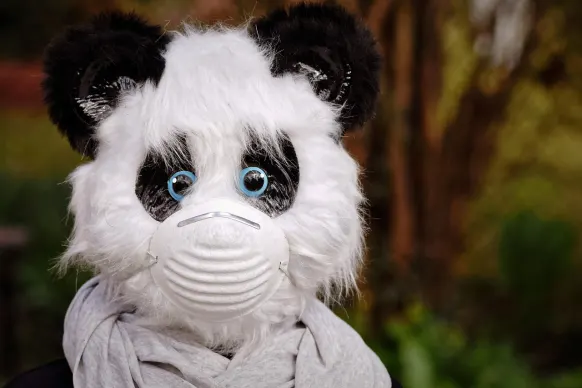 BitReels Casino Tugi